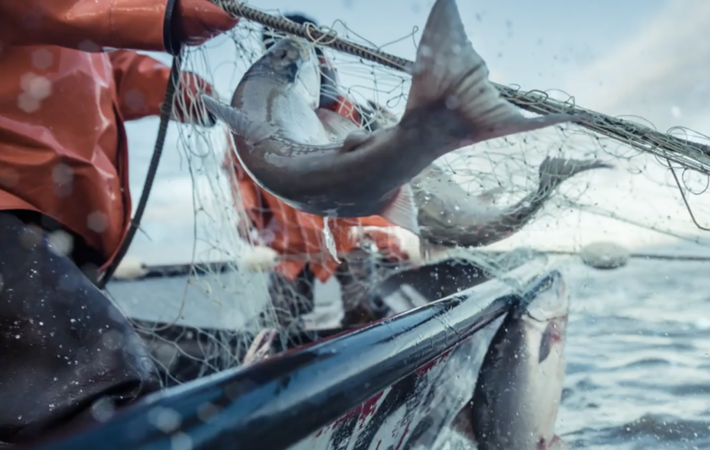 Bristol Bay Native Corporation