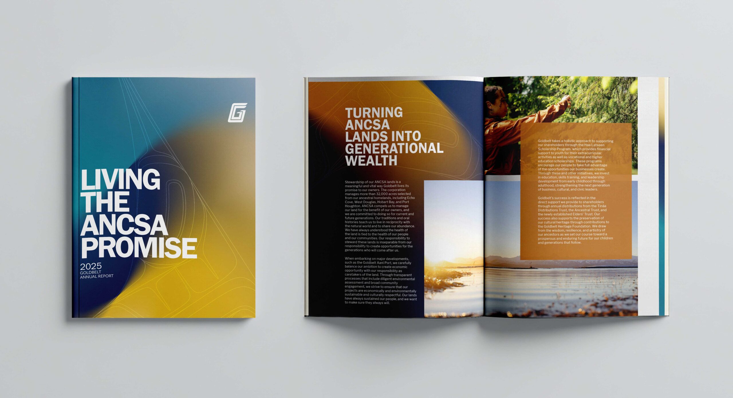 Goldbelt Annual Report